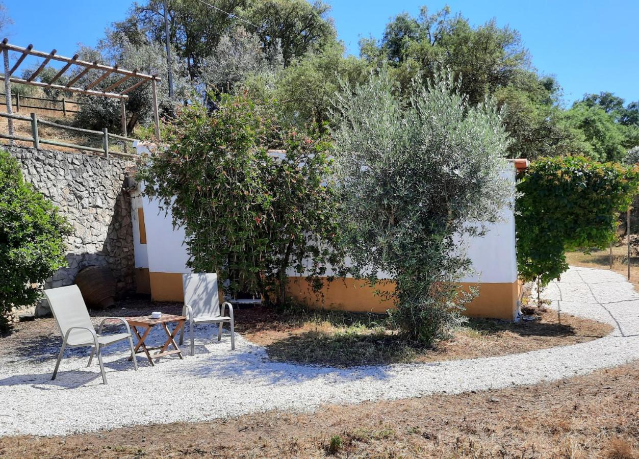 Willa Quinta De Evoramonte Estremoz Zewnętrze zdjęcie