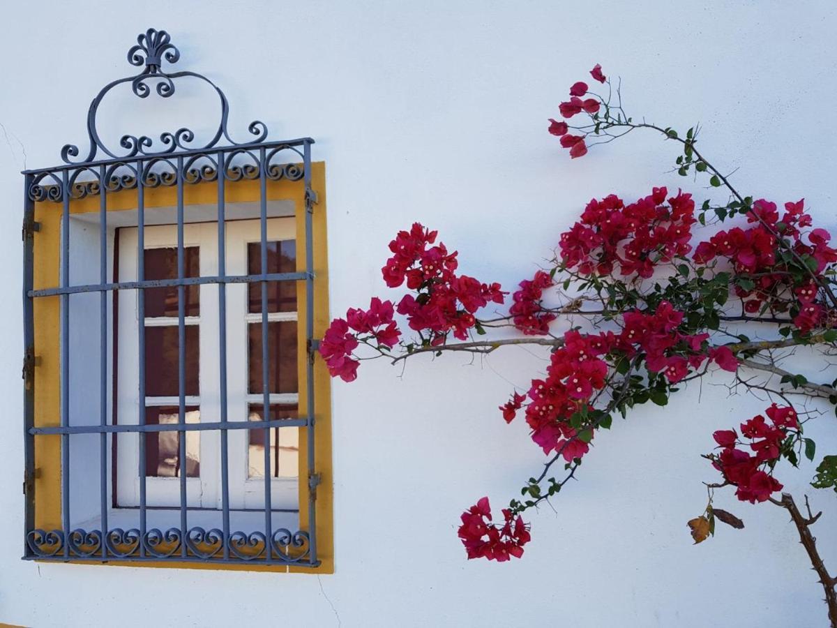 Willa Quinta De Evoramonte Estremoz Zewnętrze zdjęcie