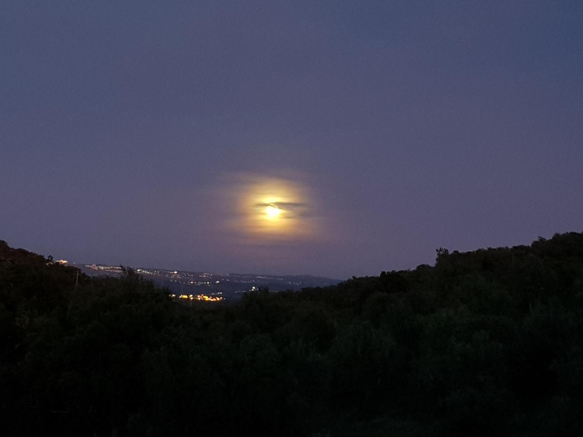 Willa Quinta De Evoramonte Estremoz Zewnętrze zdjęcie